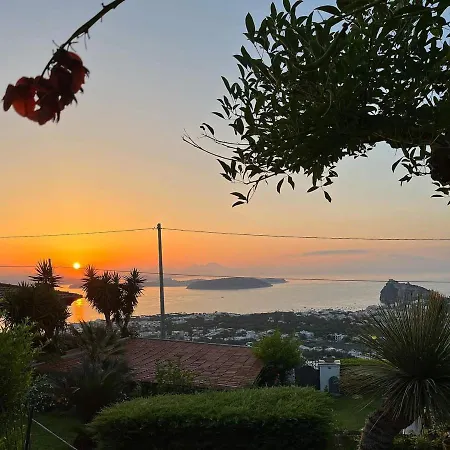 La Pergola * Isquia